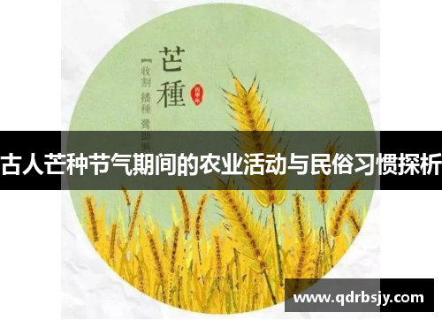 古人芒种节气期间的农业活动与民俗习惯探析